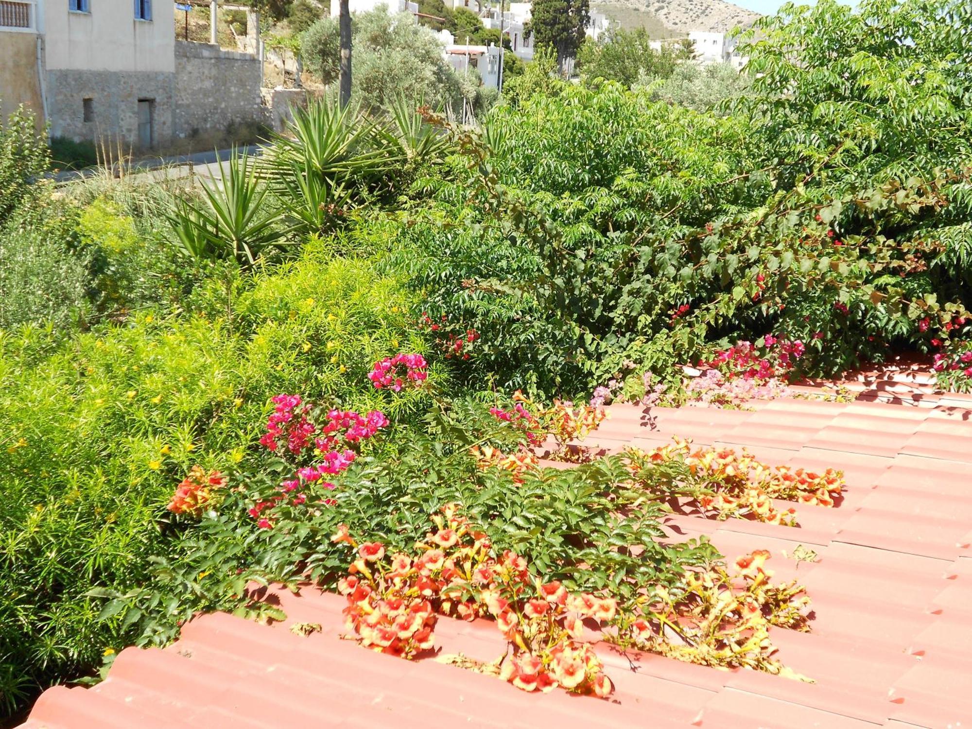 Caviri Apartment Galissas Ngoại thất bức ảnh